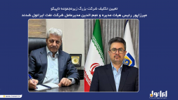 تعیین تکلیف شرکت بزرگ زیر مجموعه تاپیکو